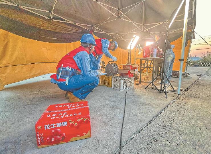 國網臨猗縣供電公司全產業(yè)鏈用電可靠，水果大縣果飄香
